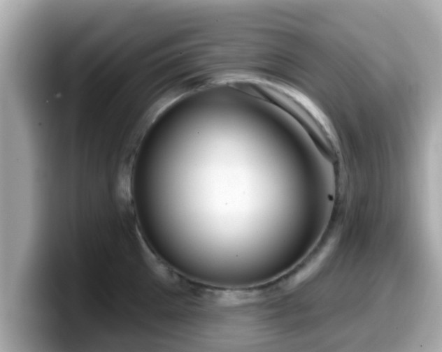 X0000099560905200805231510