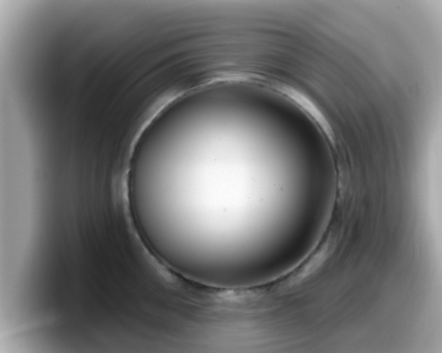 X0000099560906200805231510