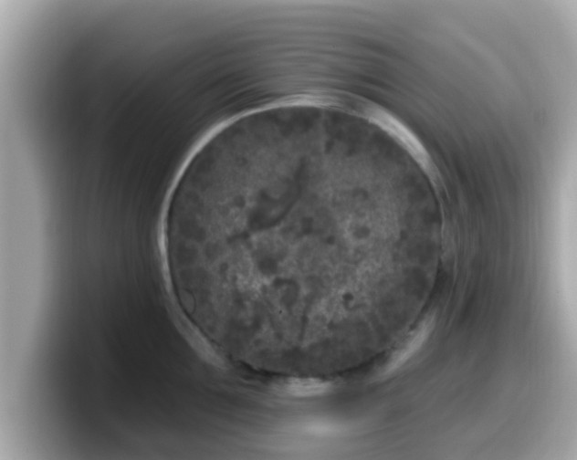 X0000099560907200805231510