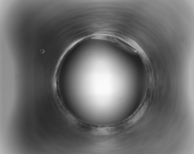 X0000099560908200805231510