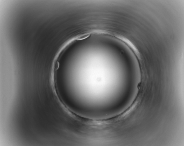 X0000099560910200805231510