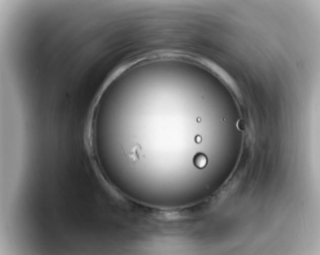 X0000099560911200805231510