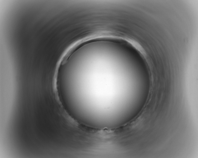 X0000099560912200805231510