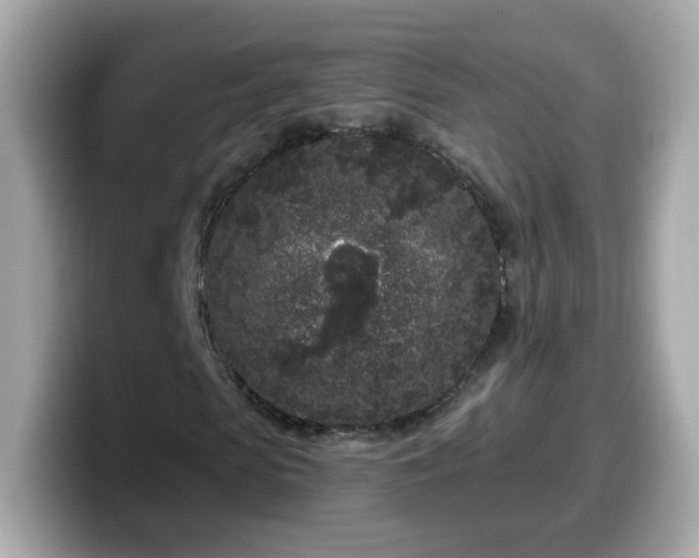 X0000099560913200805231509