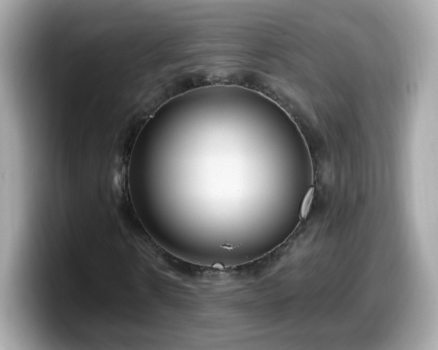 X0000099560914200805231509