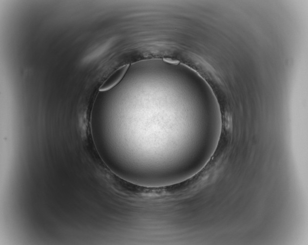 X0000099560915200805231509