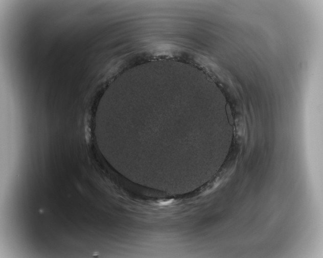 X0000099560916200805231509