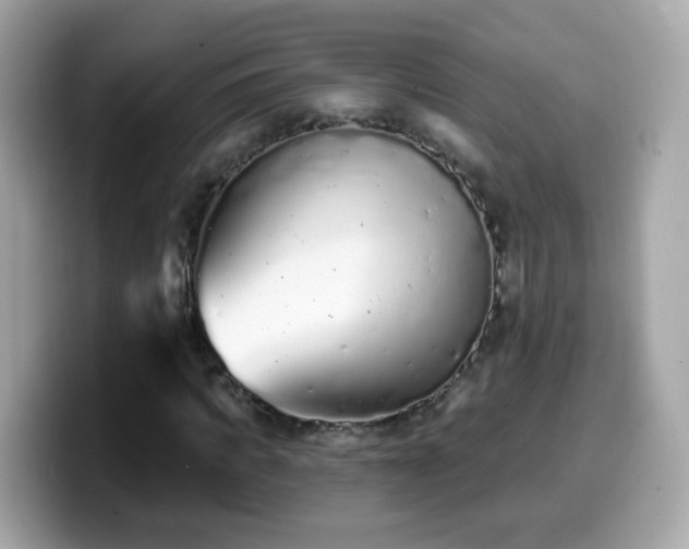 X0000099560917200805231509