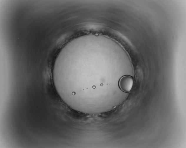 X0000099560918200805231509