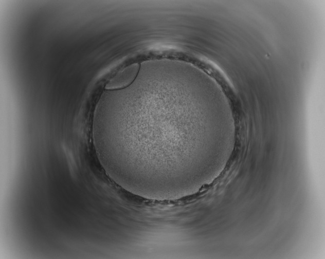 X0000099560919200805231509