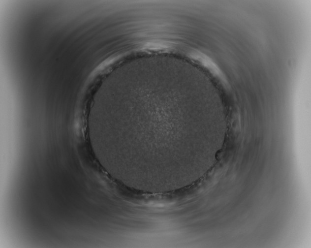 X0000099560920200805231509