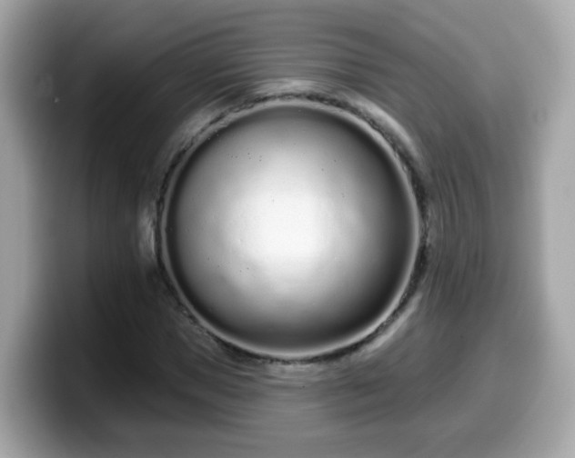 X0000099560921200805231509