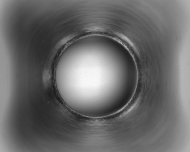 X0000099560922200805231509