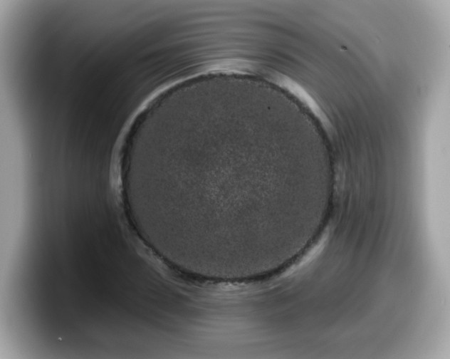 X0000099560923200805231509