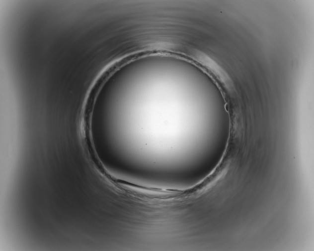 X0000099560924200805231509