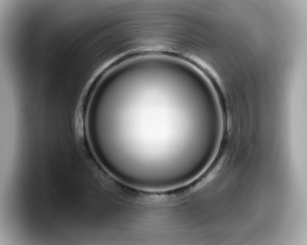 X0000099560925200805231509