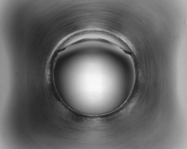 X0000099560926200805231509