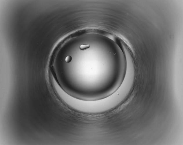 X0000099560928200805231509