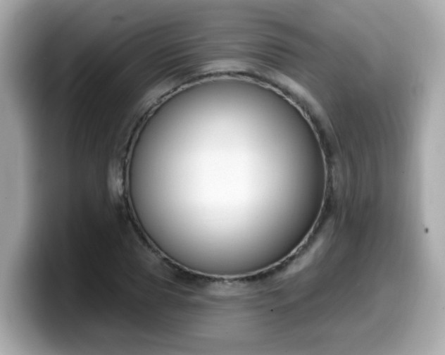 X0000099560929200805231509