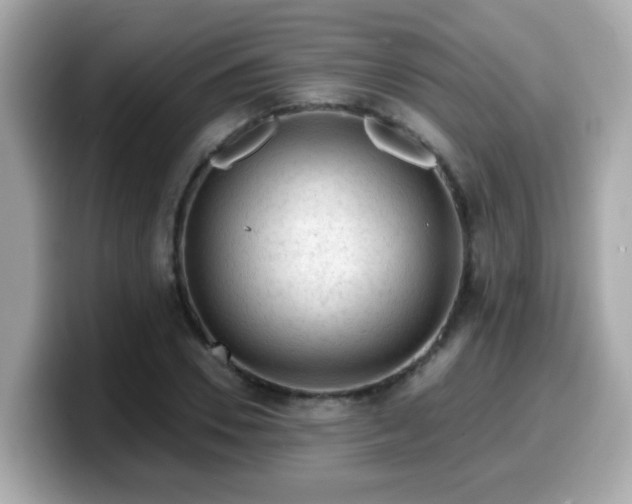 X0000099560930200805231509