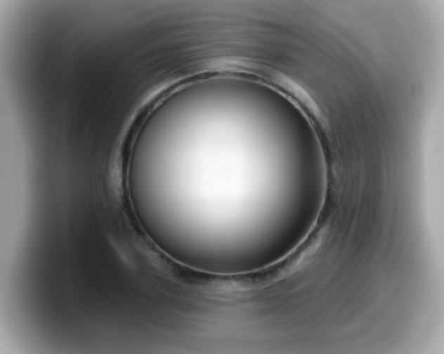 X0000099560931200805231509