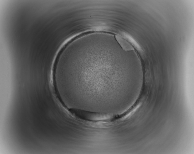 X0000099560932200805231509