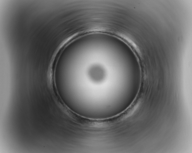 X0000099560933200805231509