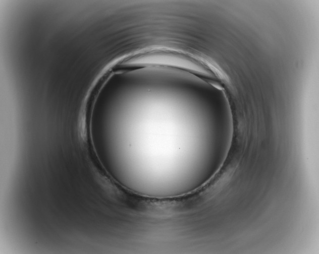 X0000099560934200805231509