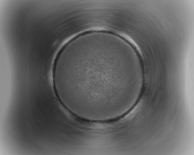 X0000099560935200805231509