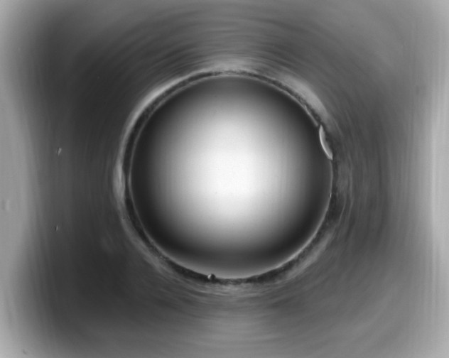 X0000099560936200805231509