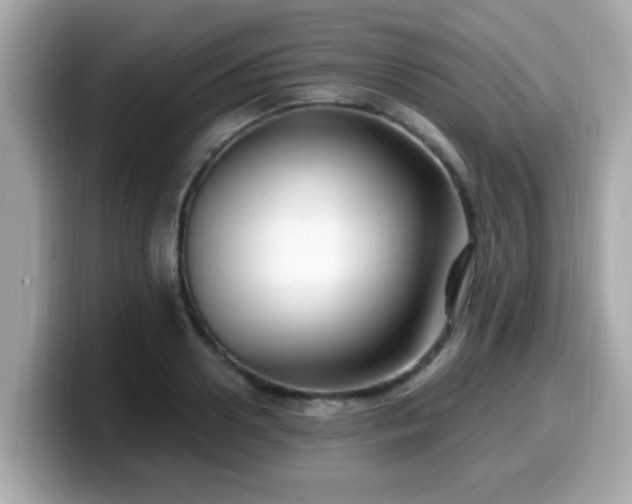 X0000099560938200805231509