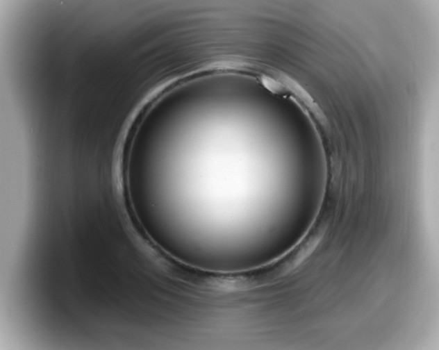 X0000099560939200805231509