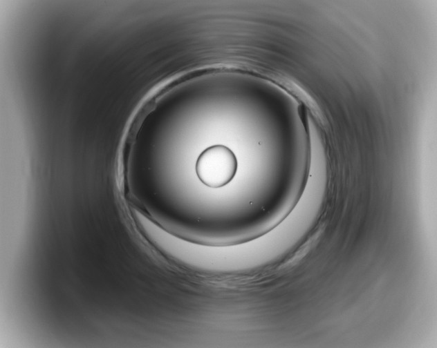 X0000099560940200805231509