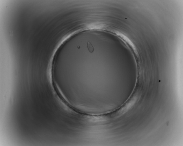 X0000099560941200805231509