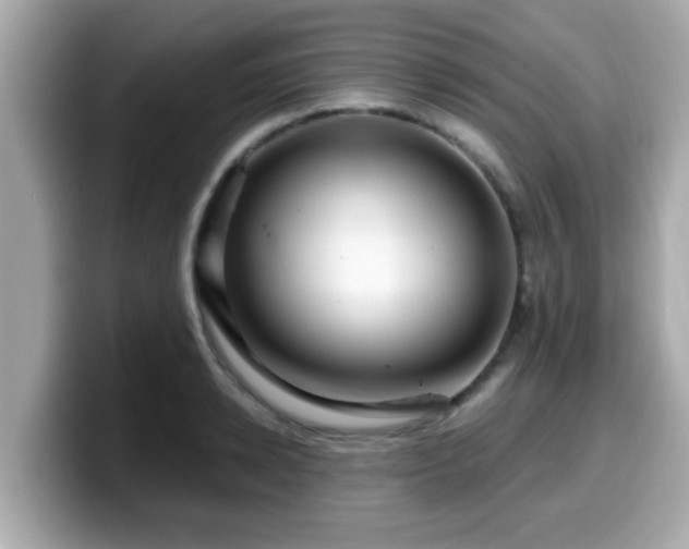 X0000099560942200805231509