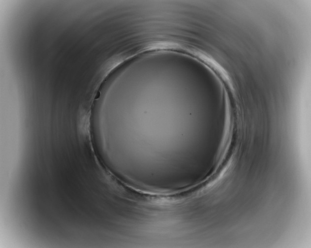 X0000099560945200805231509