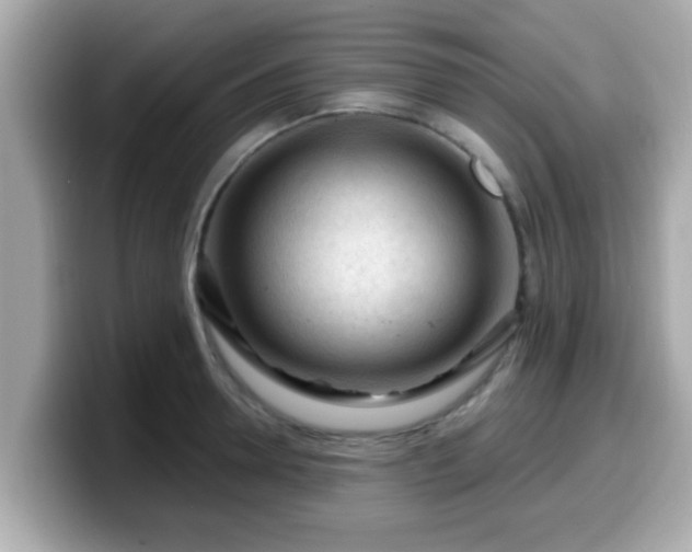 X0000099560946200805231510