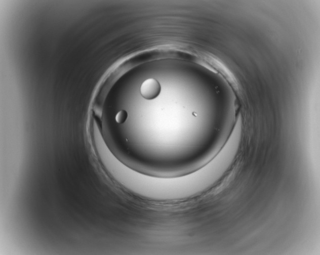 X0000099560948200805231510