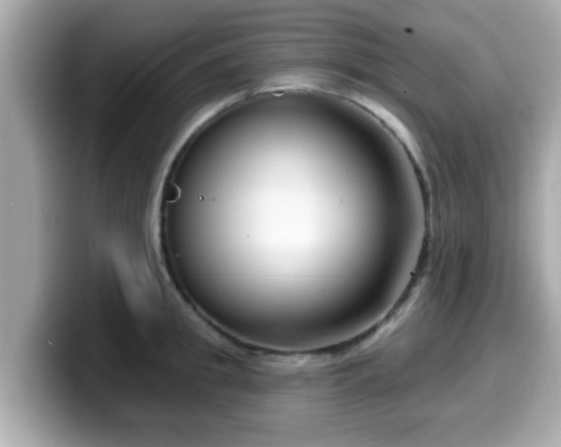 X0000099560949200805231510