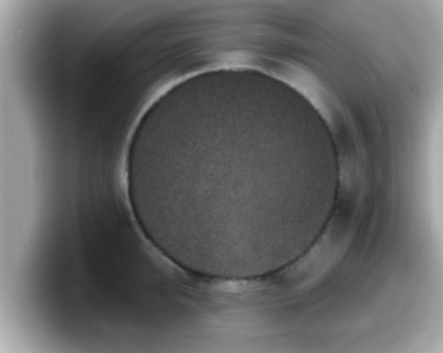 X0000099560950200805231510