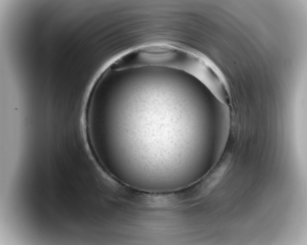 X0000099560951200805231510