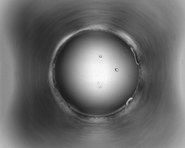 X0000099560952200805231510