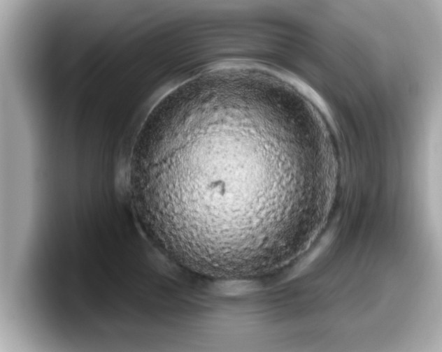 X0000099560953200805231510