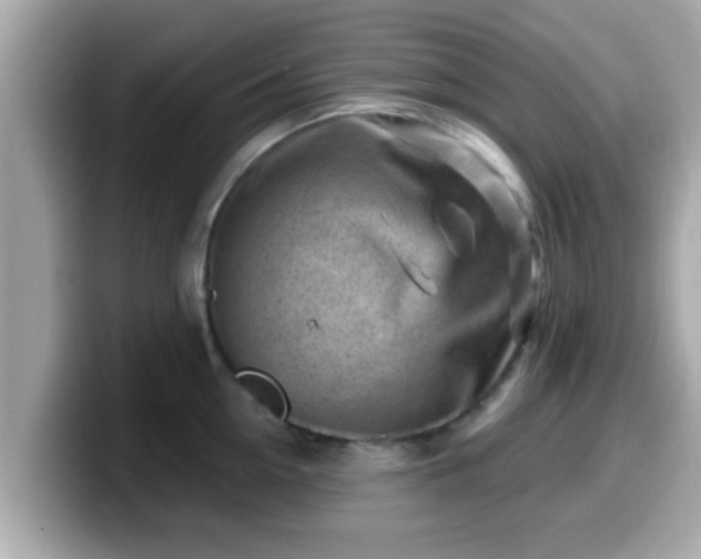 X0000099560954200805231510