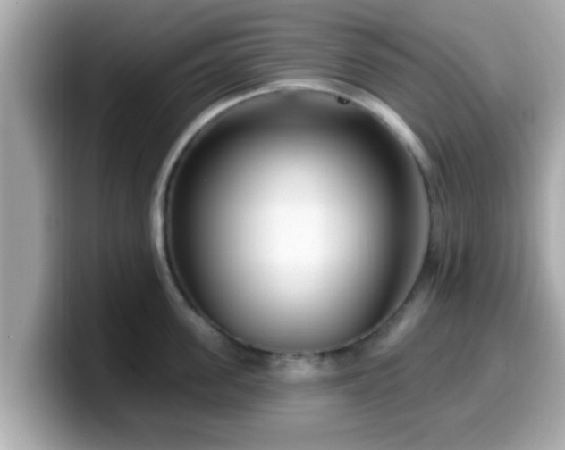 X0000099560955200805231510