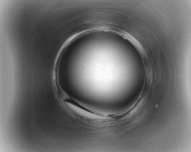 X0000099560956200805231510