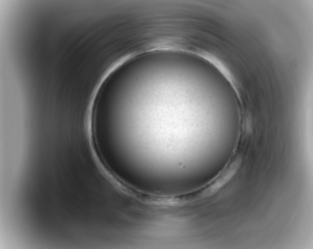 X0000099560957200805231510