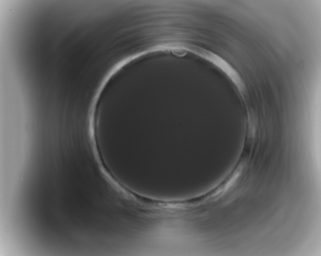 X0000099560958200805231510