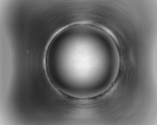 X0000099560959200805231510