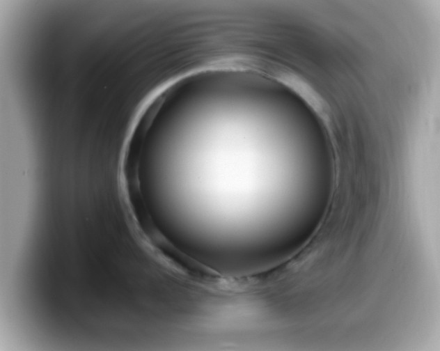 X0000099560960200805231510